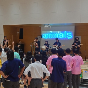 1 animals.JPG